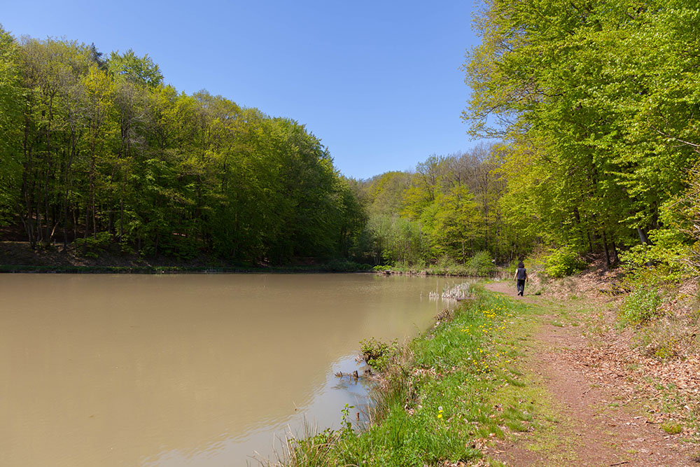 Am Weiher