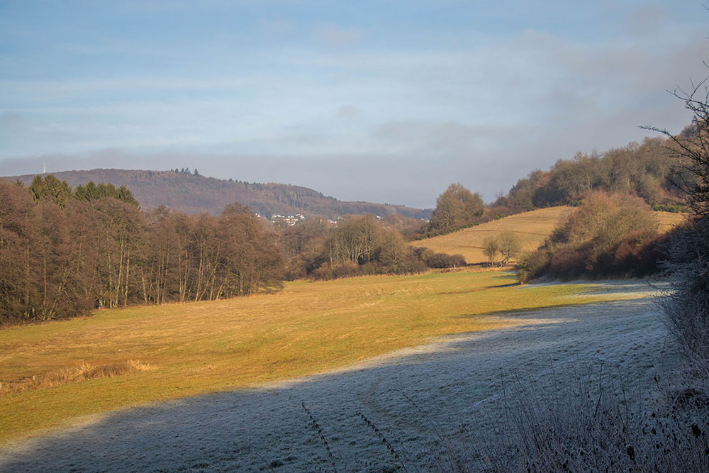 Winterliche Landschaft mit Raureif 