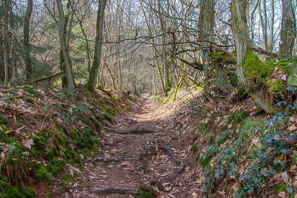 Hohlweg