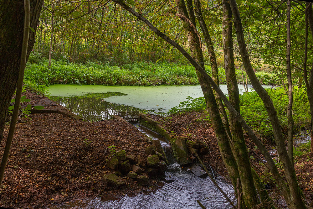 Kleiner Weiher