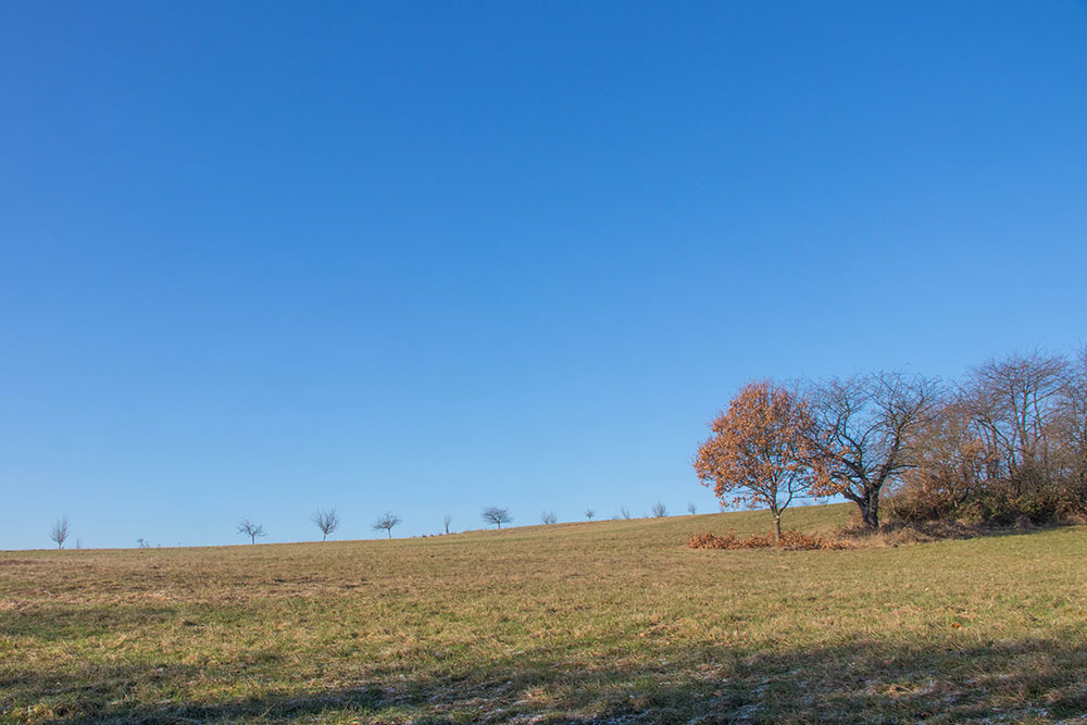 Winterliche Landschaft ohne Schnee