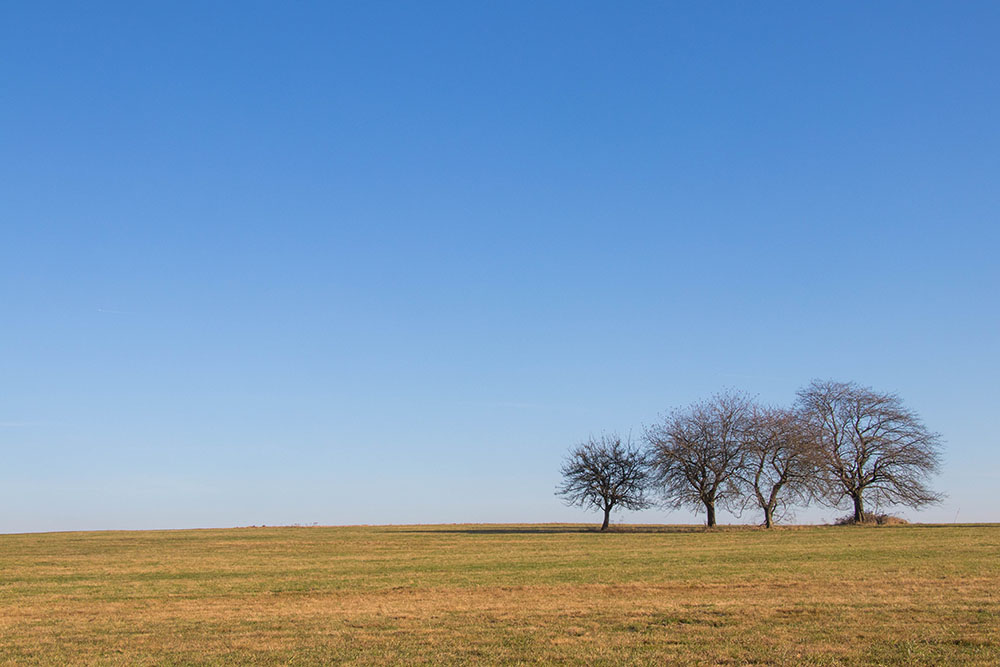 Winterliche Landschaft ohne Schnee