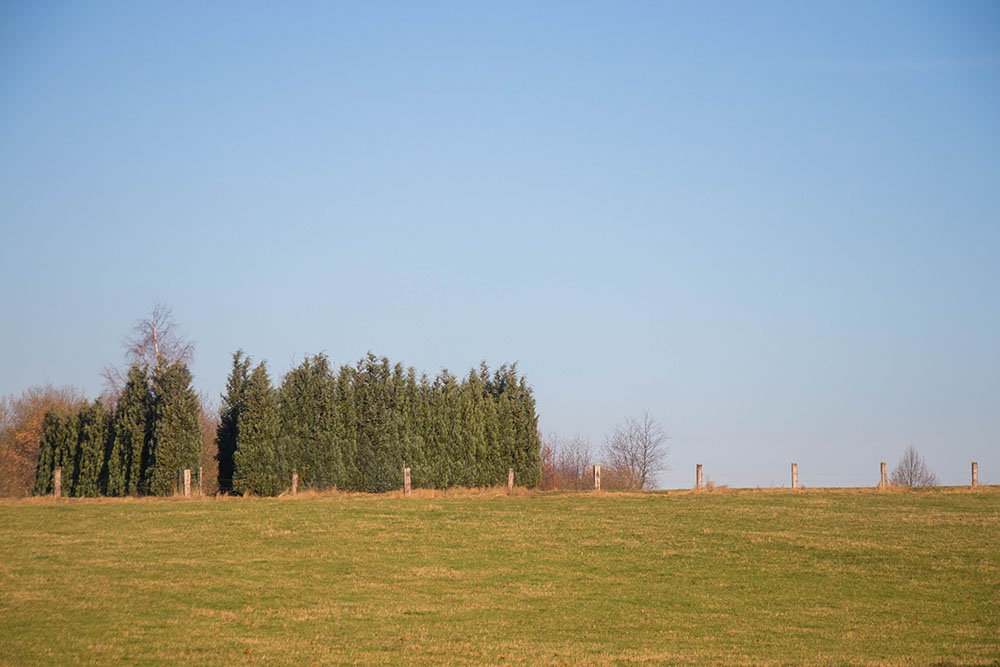 Weiderand