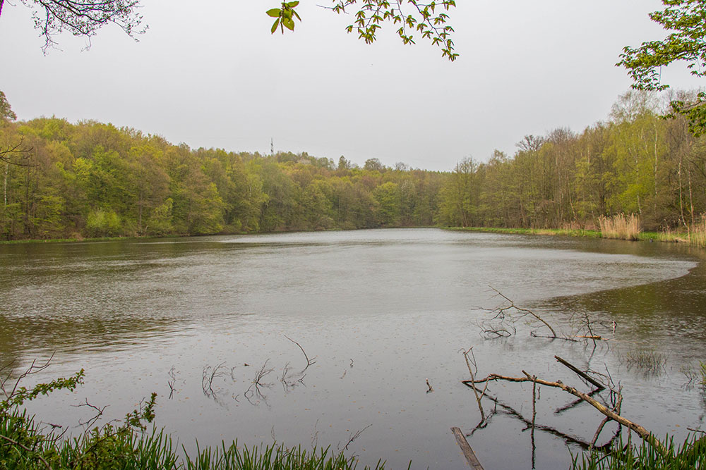 Am Heinitzer Weiher (Nr. 1)