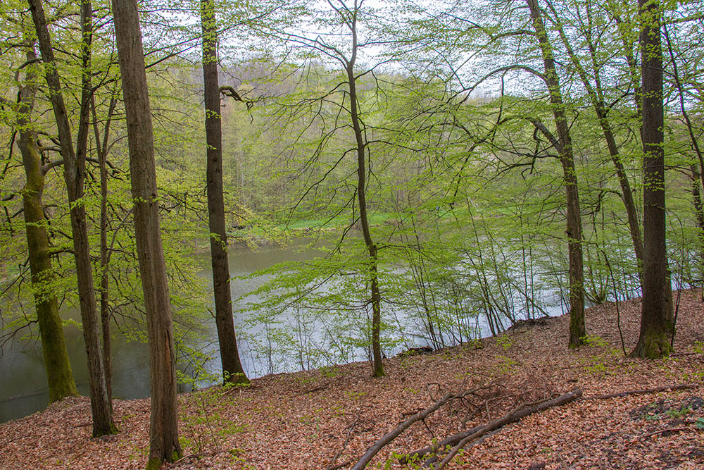 Weiher ohne Namen (Nr. 3)
