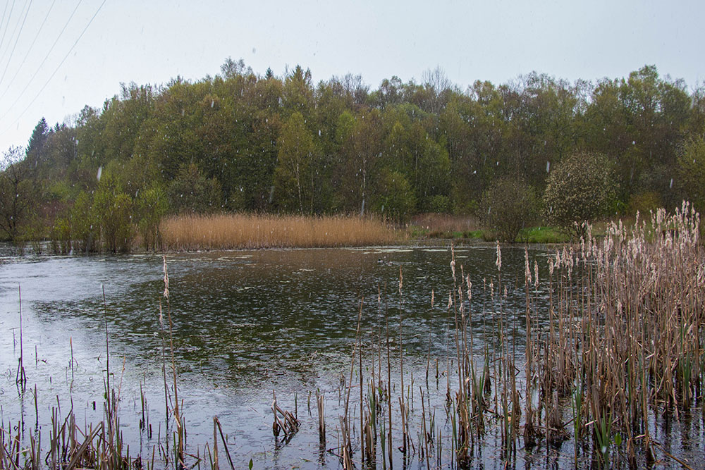 ... ins Schneetreiben (Nr. 6)
