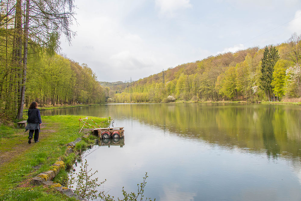 Weiher des Angelsportvereins Neunkirchen (Nr. 9)