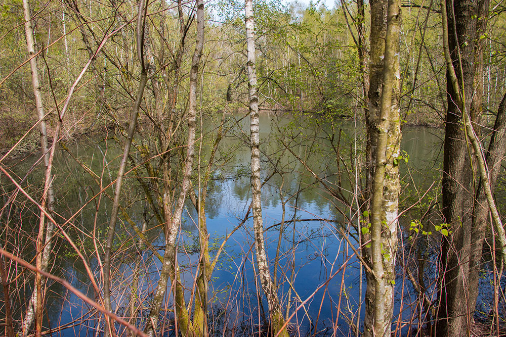 Auch dieser Weiher versteckt sich (Nr. 10)