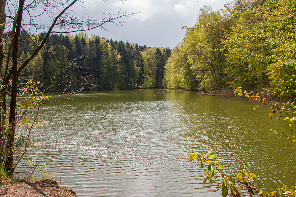 ... und wenn wir uns nicht verzählt haben, ist das Weiher Nr. 12