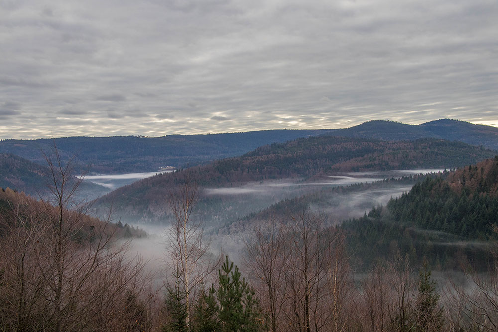 Nebelschwaden &uuml;ber dem Nordschwarzwald 