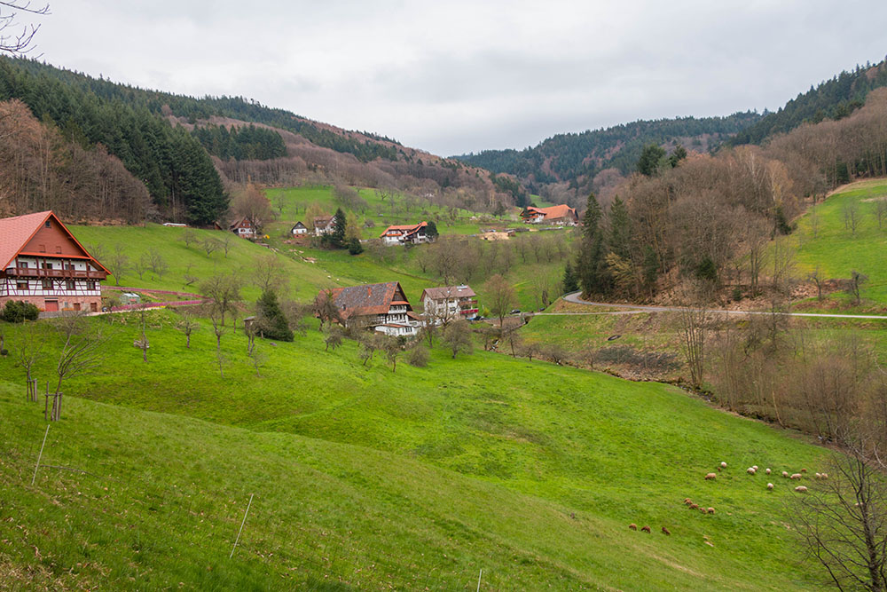 Schwarzwaldtal