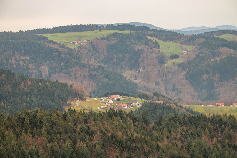 Winterliche Landschaft