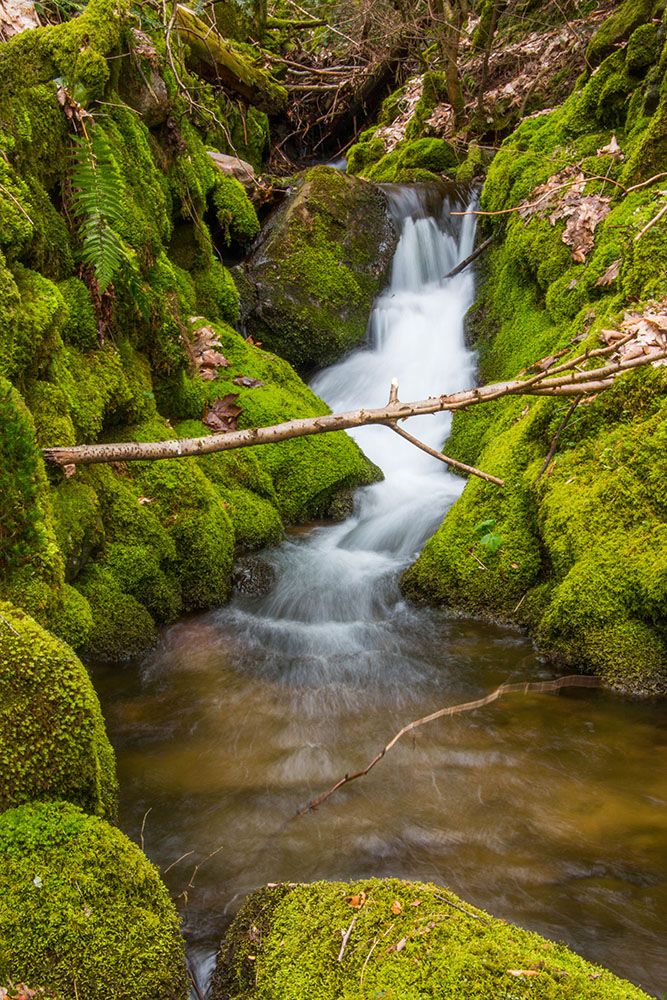 Die Wasserf&auml;llchen geh&ouml;ren ...