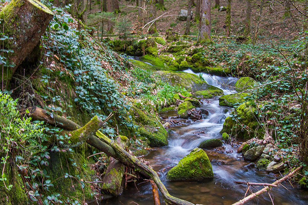 &Uuml;ber zahlreiche Kaskaden ...