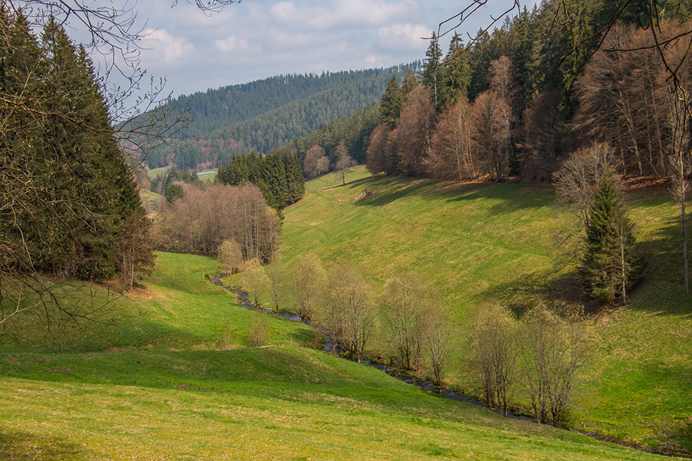 Der Reichenbach flie&szlig;t malerisch durch das Tal