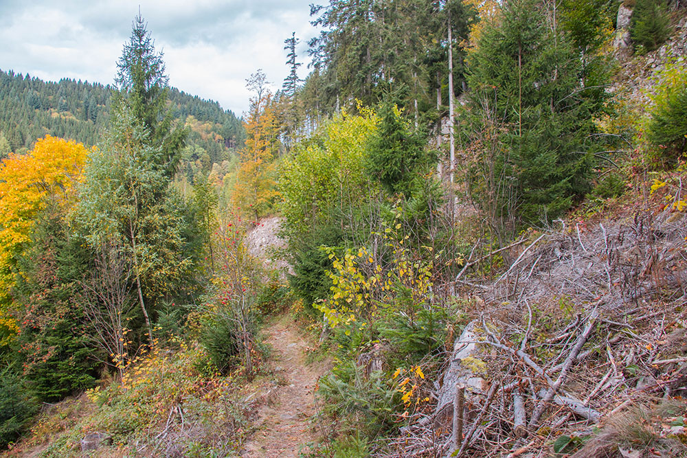 Steiler Aufstieg ...