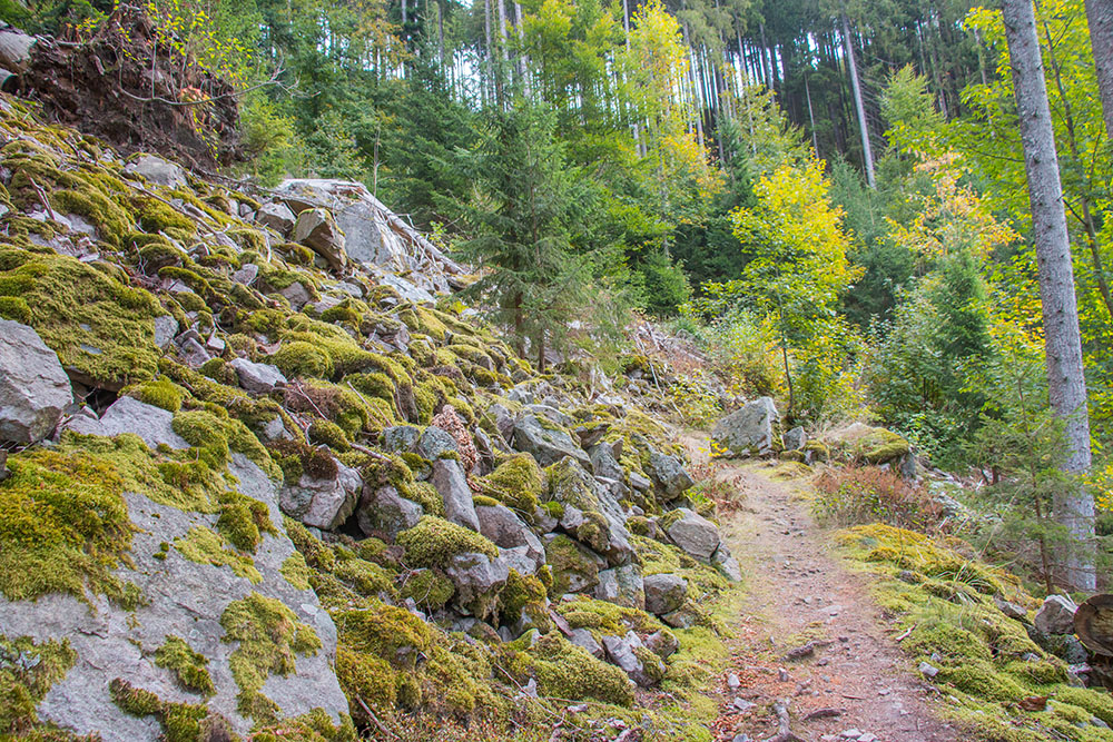 ... auf schmalen Pfaden ...
