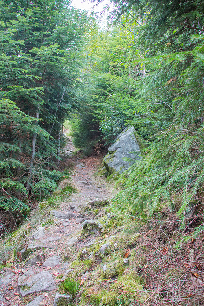 Aufpassen wo man hintritt