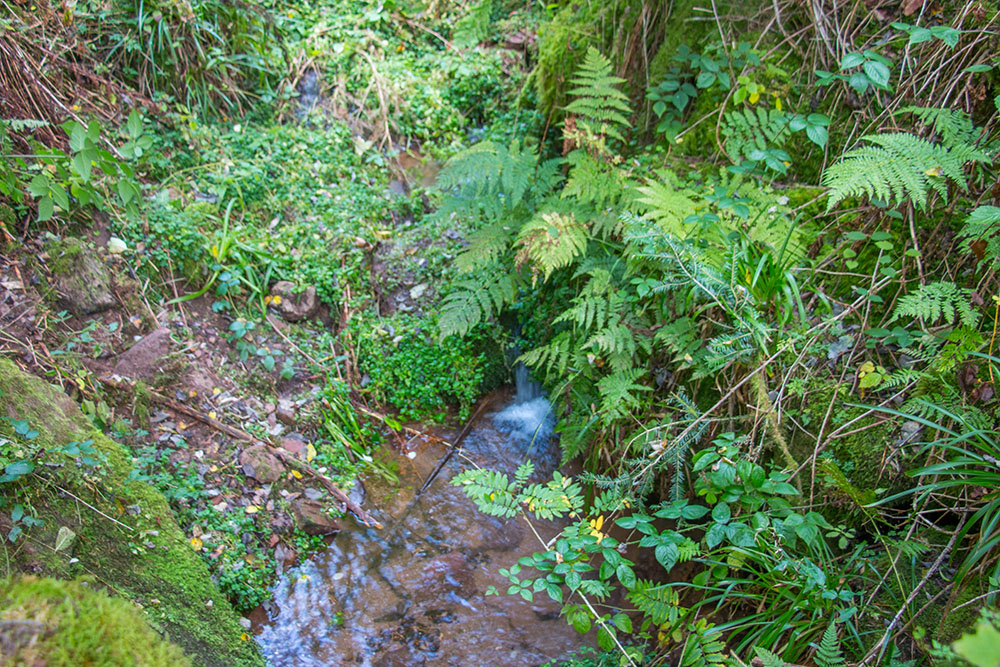 Die Schwarzenbachquelle