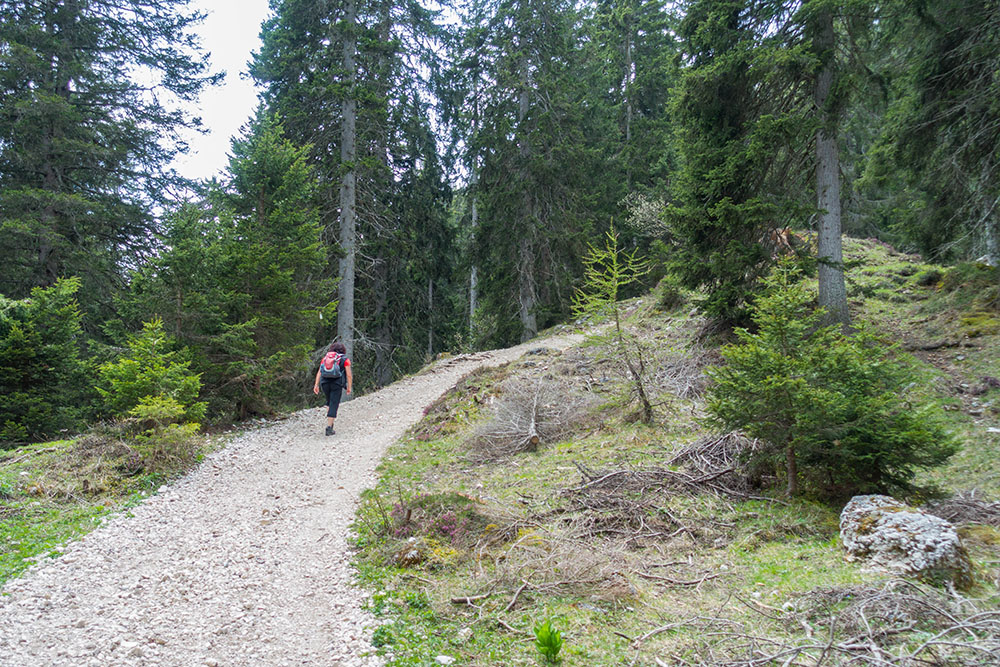 ... danach geht es zur Abwechslung weiter bergauf ;-)