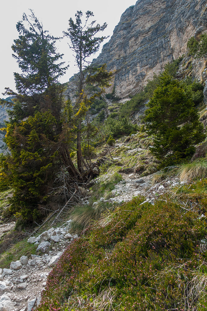 Auf losem Geröll geht es weiter hinauf ...