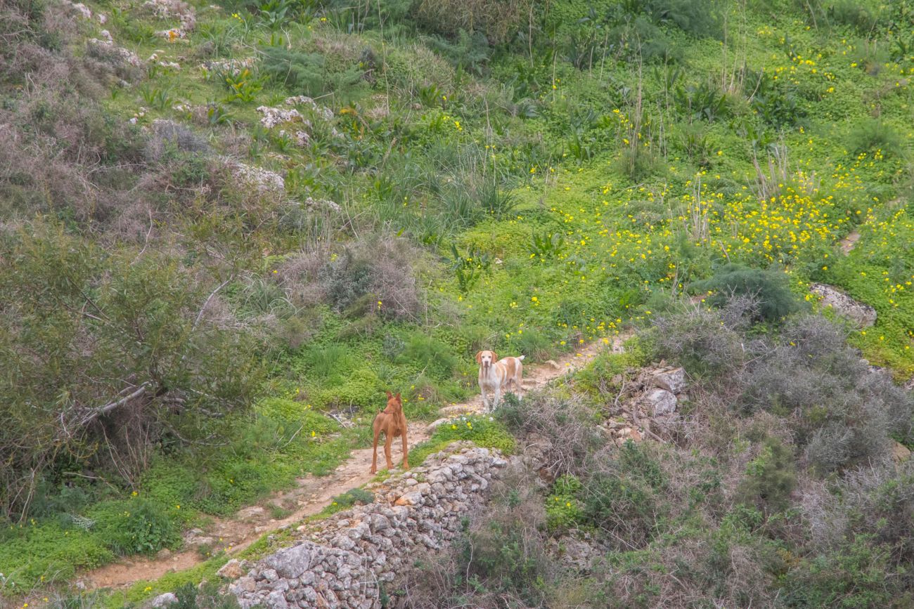 Unsere Verfolger, zum Glück waren die brav