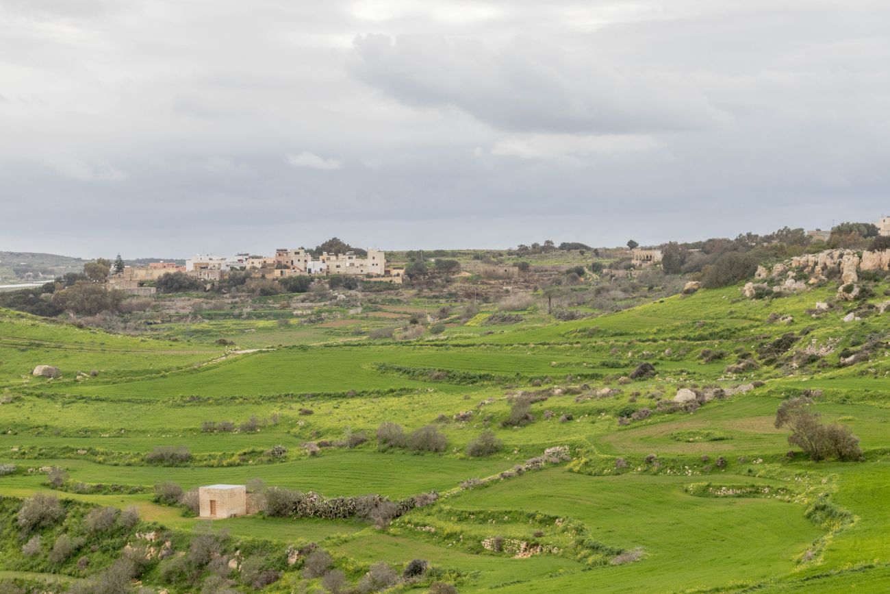 Gr&uuml;n wie Irland 