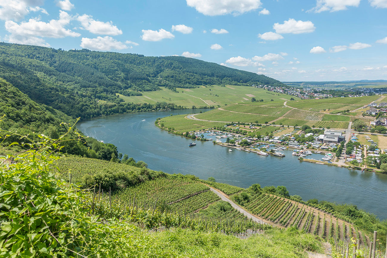 Kaum wieder an der Mosel angelangt ...