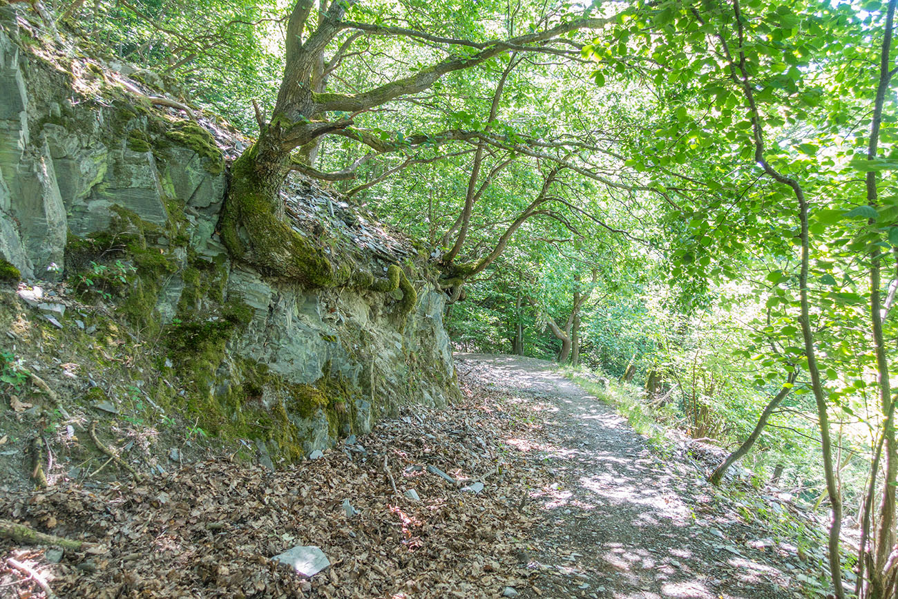 ... geht es nochmal in den Wald zurück