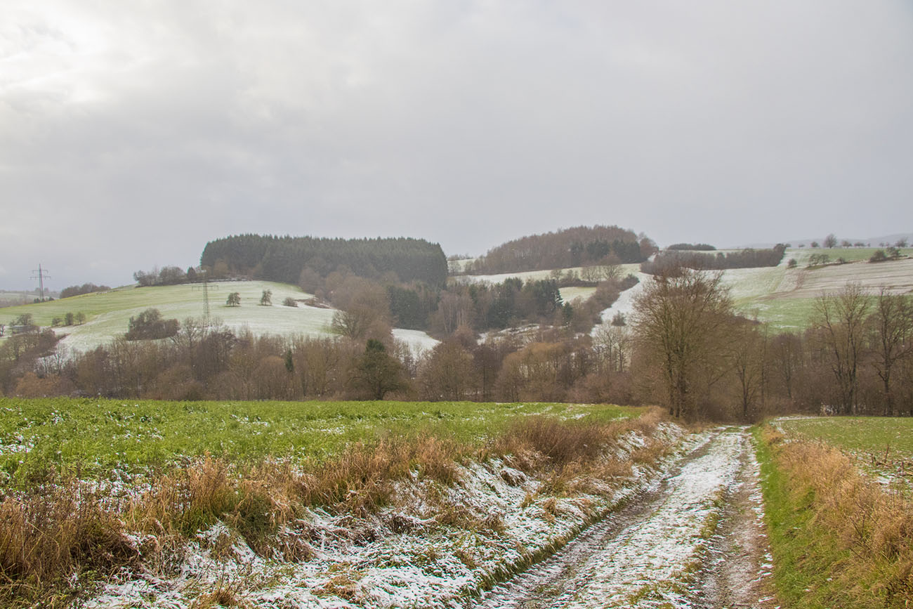 Gefrorener Feldweg