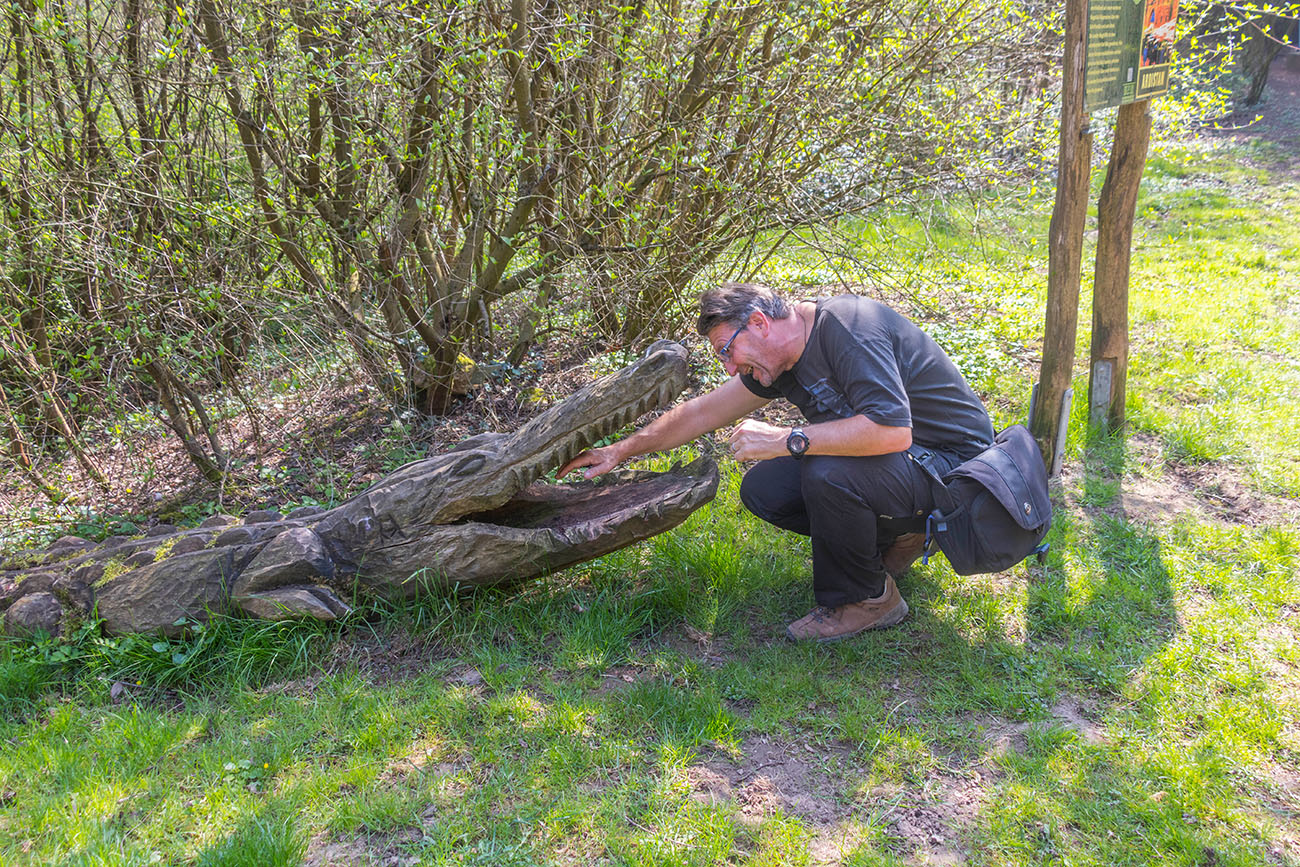 Ganz schön mutig - das Krokodil ;-) 