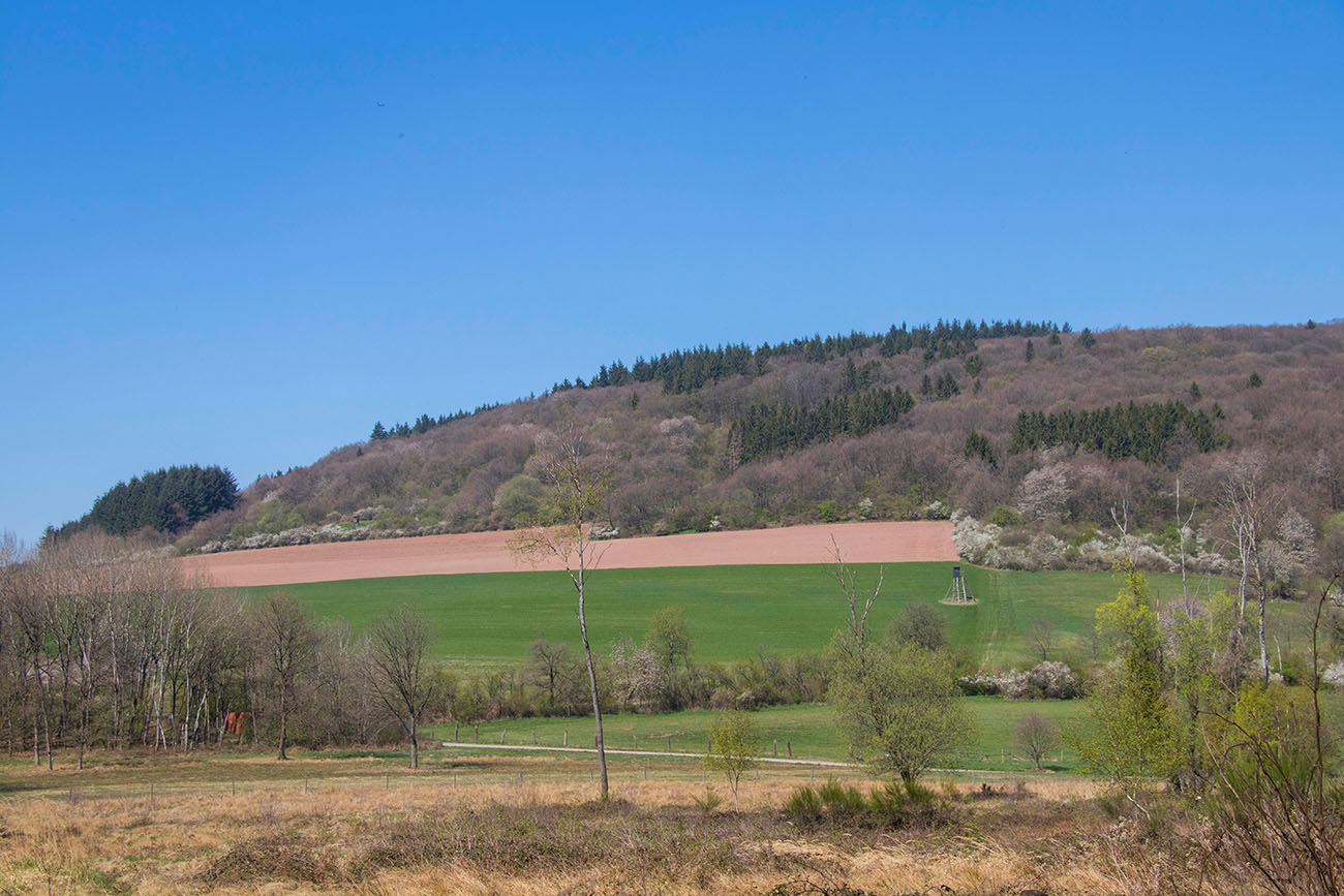 Blauer Himmel über grüner Landschaft 