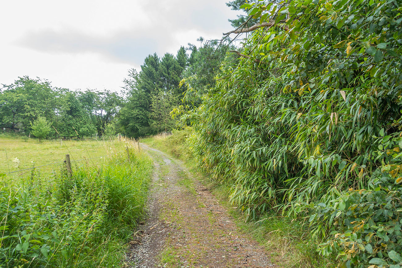 Weg ins Merchtal 