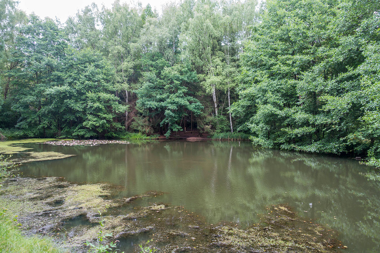 Teich im Merchtal 