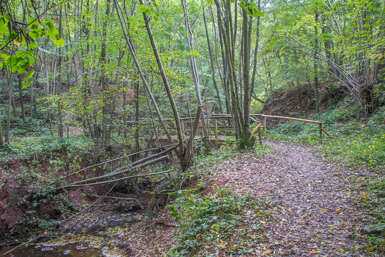 ... und Wälder 
