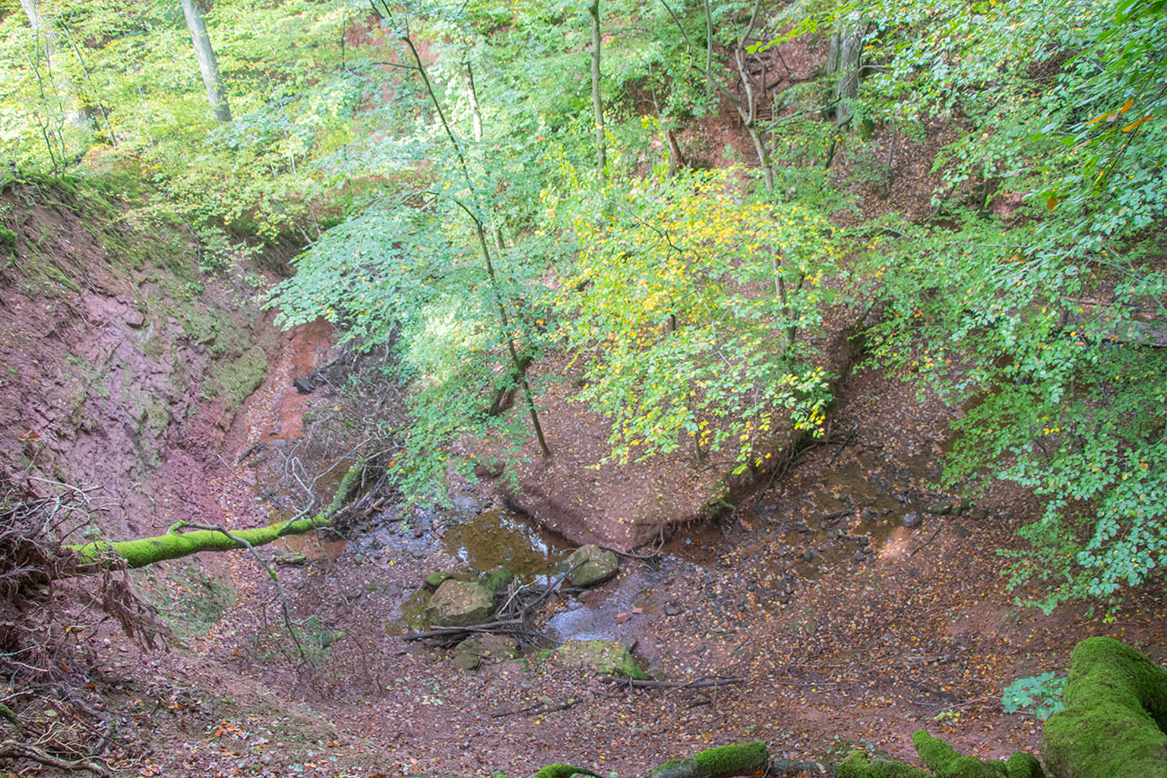 Blick in die Schlucht 