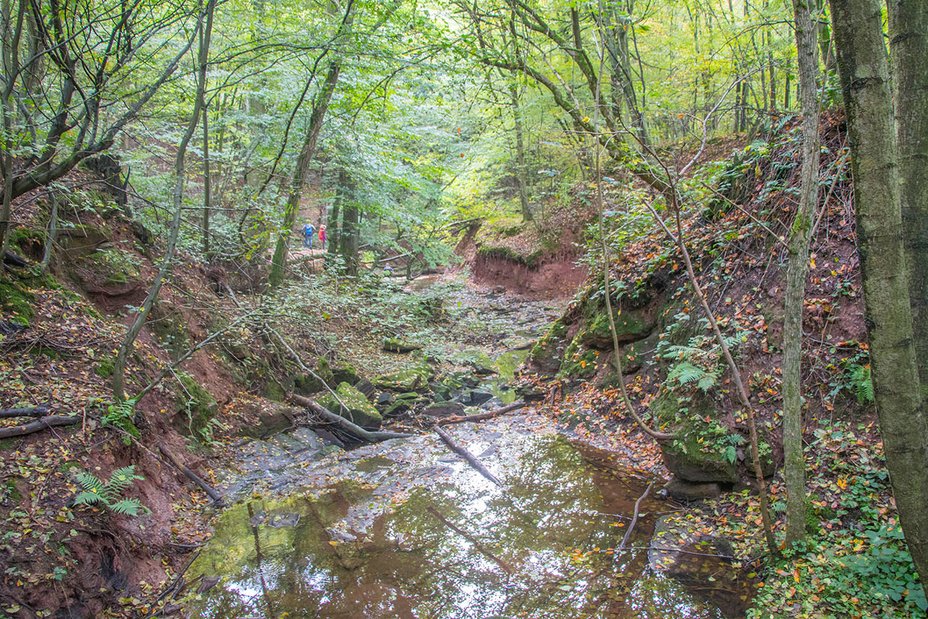 Blick in die Schlucht 