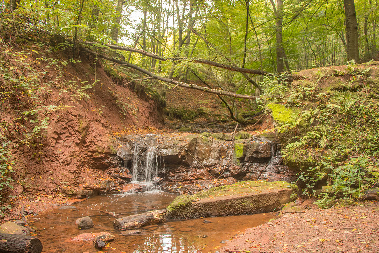 Bächlein durch die Schlucht 
