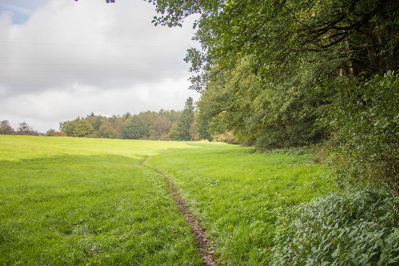 Wiesenweg