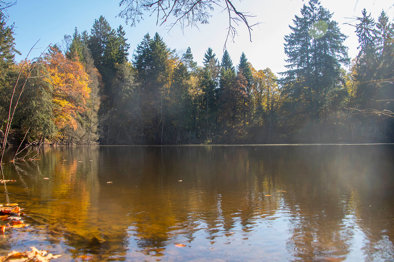 Am Kloppbruchweiher 