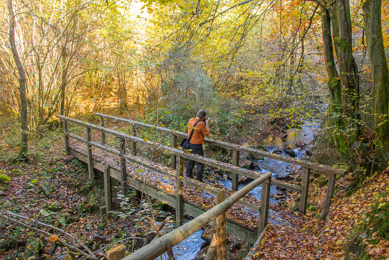 Brücke über den Allbach 