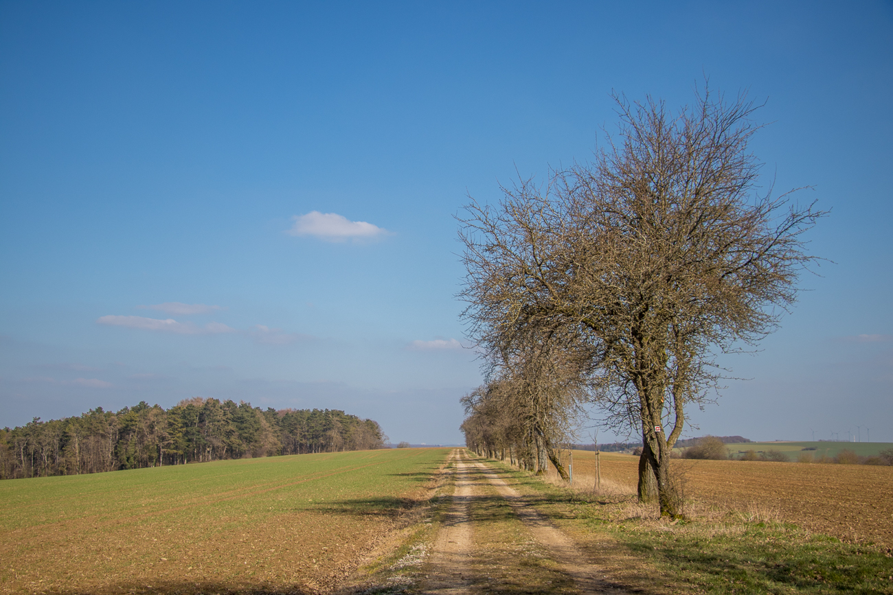Am Quetscheweg 