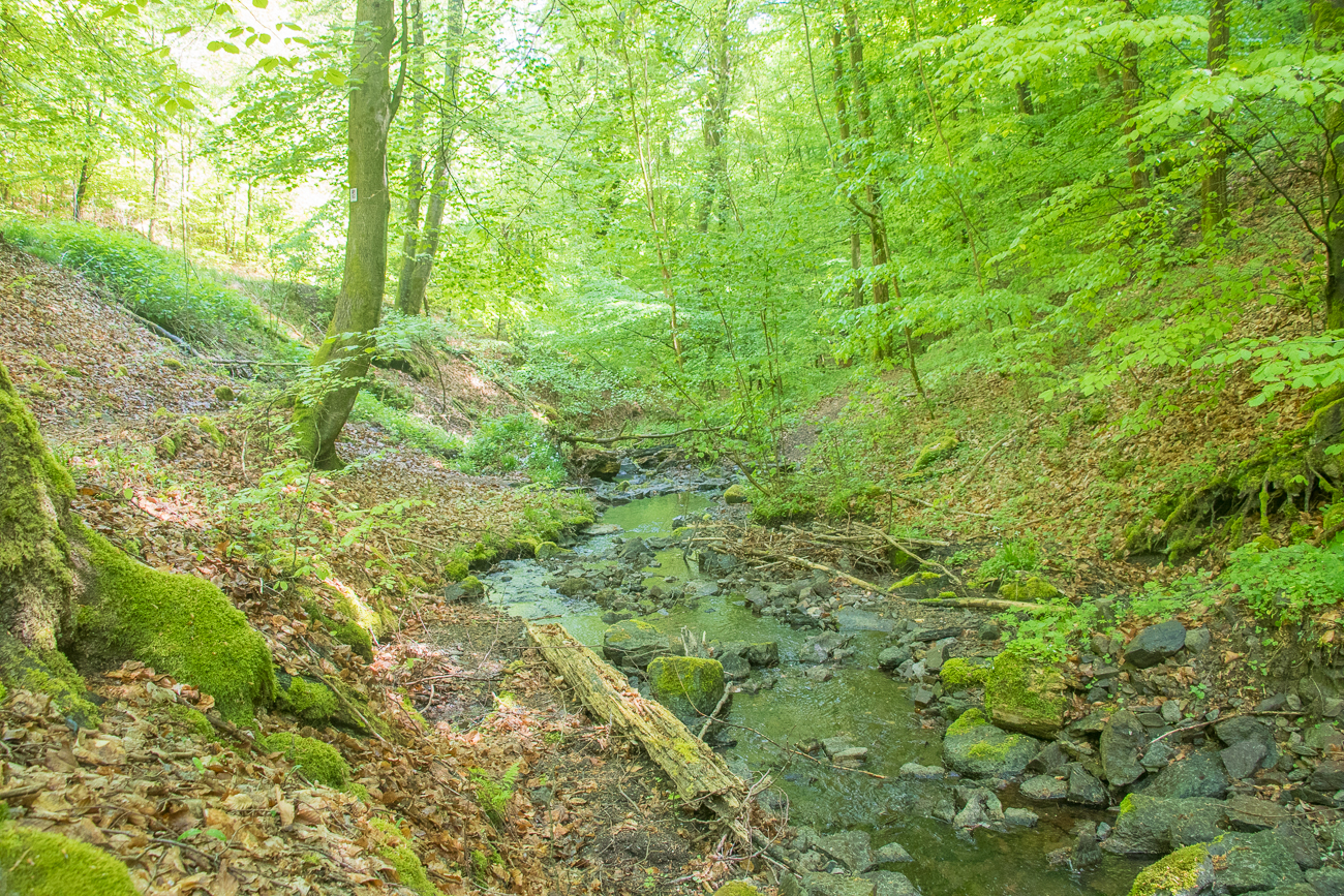 Am Bärenbach 