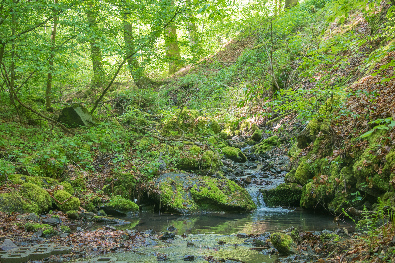Am Bärenbach 