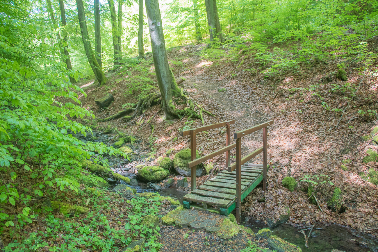 Am Bärenbach 