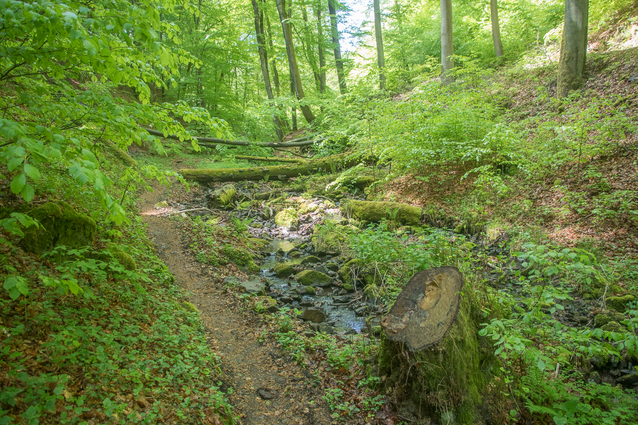 Am Bärenbach 