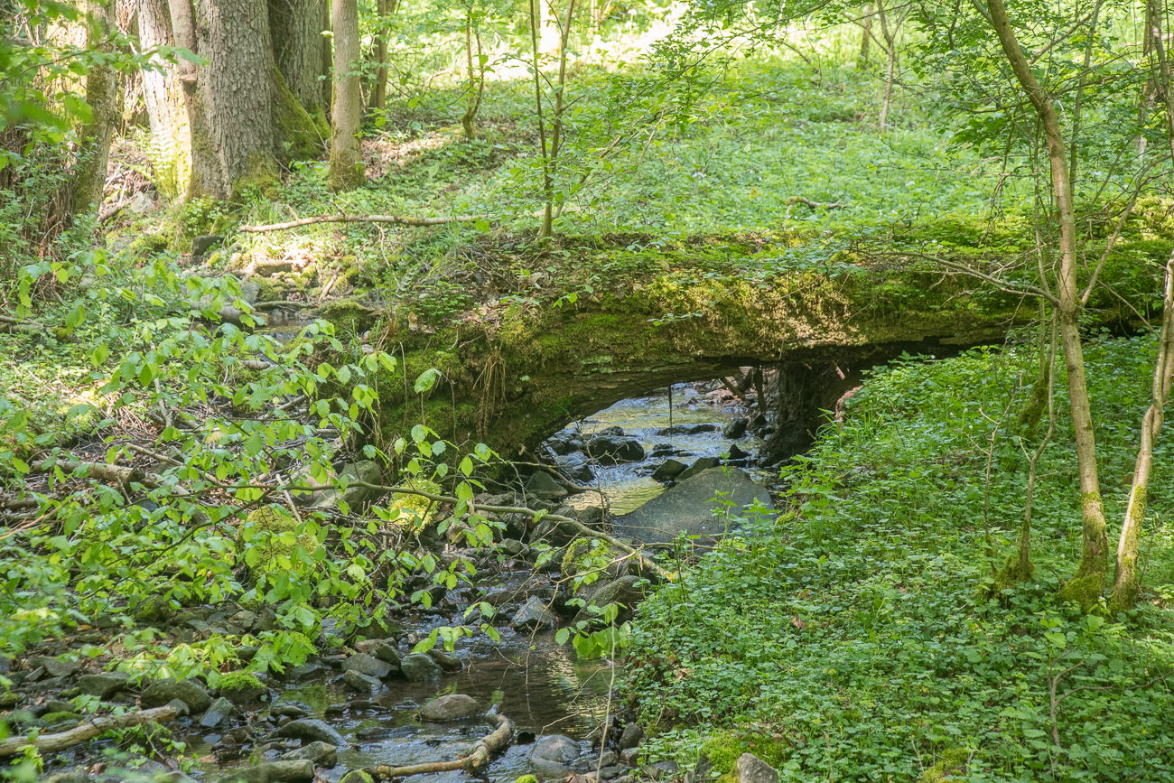 Am Bärenbach 