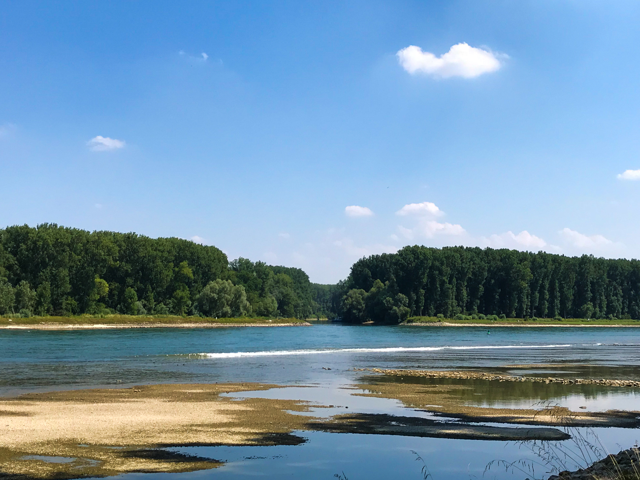 Am Rhein