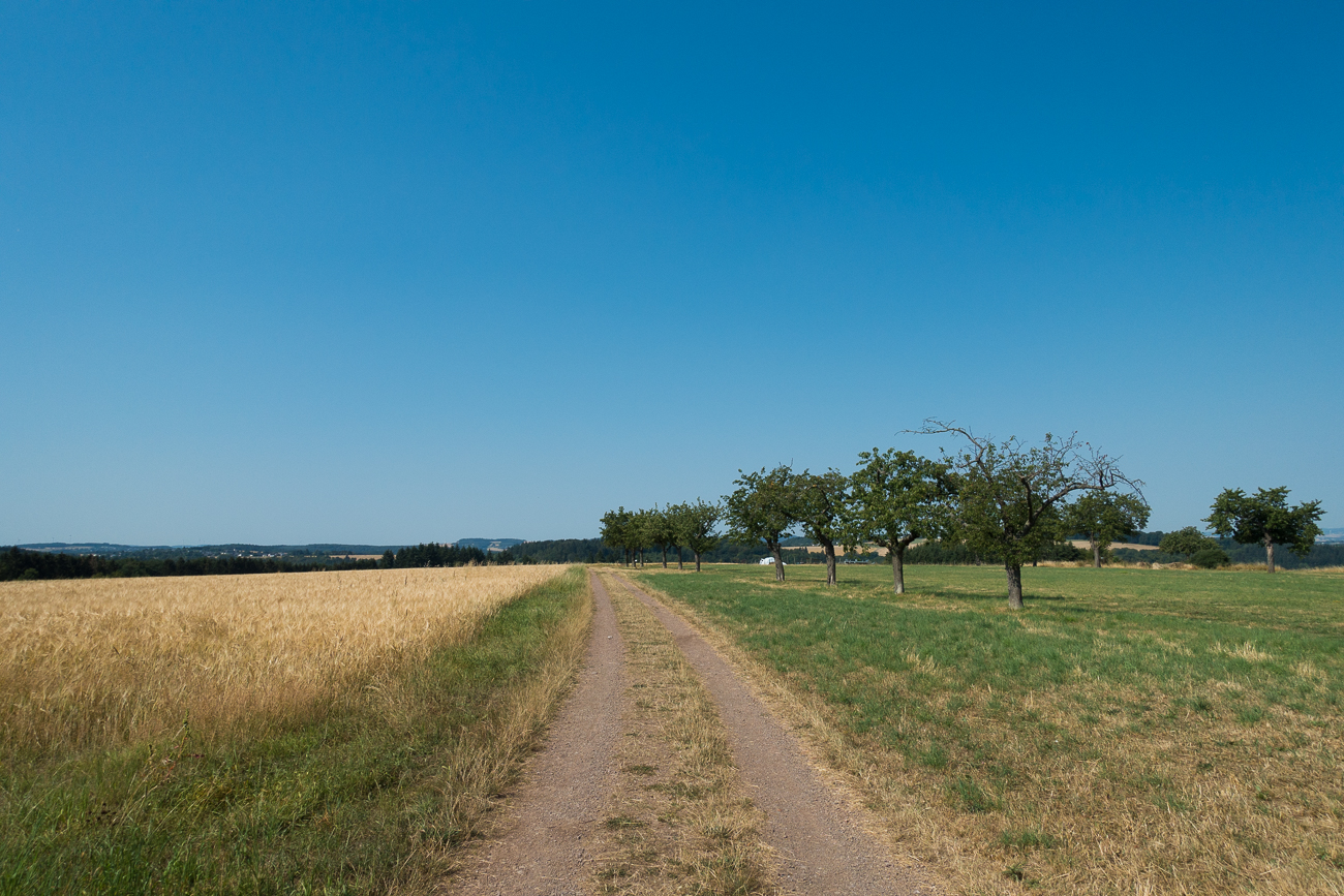 Apfelbaum-Allee
