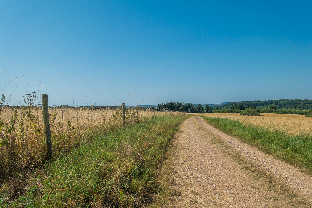 Feldweg ins Tal